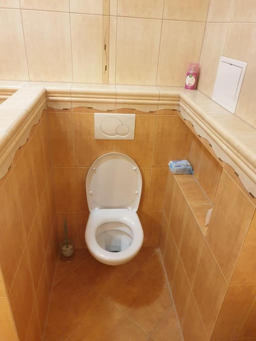 Mezonetovy Apartman V Centre Novej Dubnice Ilava Extérieur photo